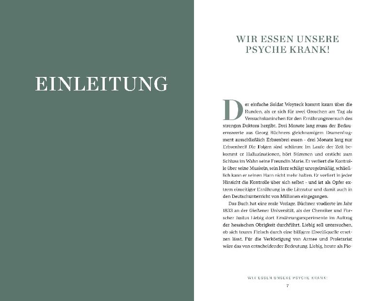 Produktbild: Das Psyche-Darm-Paradox