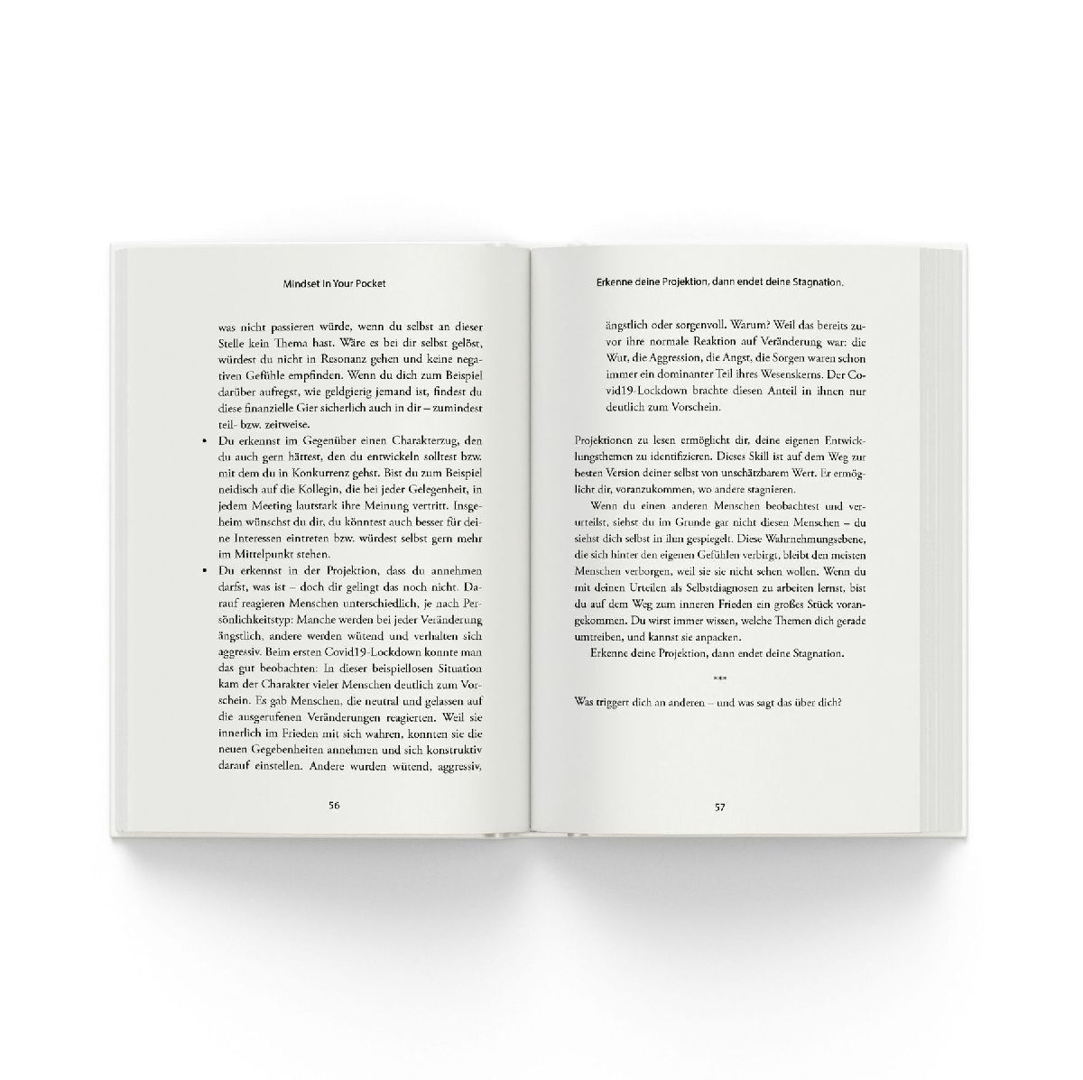 Produktbild: Meistere dein Mindset