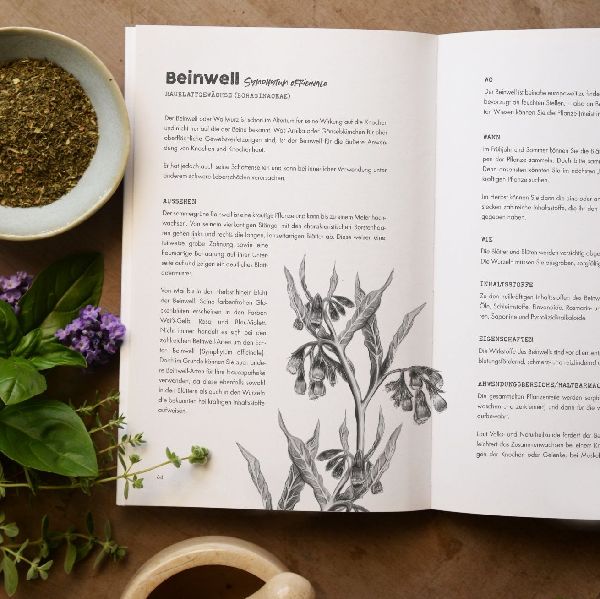 Produktbild: Das verlorene Handbuch der Kräutermedizin