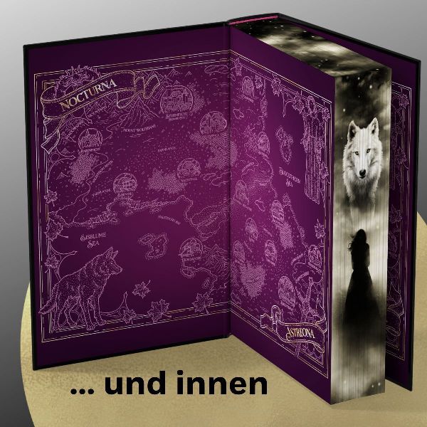 Produktbild: Dire Bound