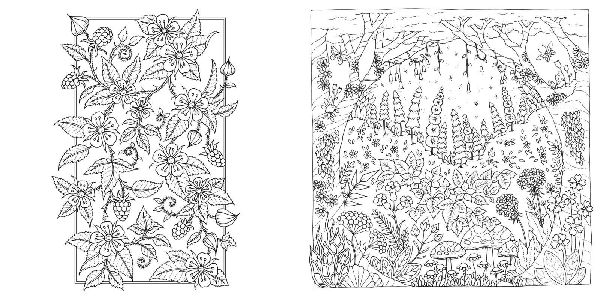 Produktbild: Wundervolle Wildblumen