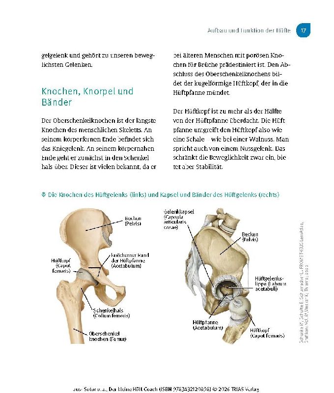 Produktbild: Der kleine Hüft-Coach