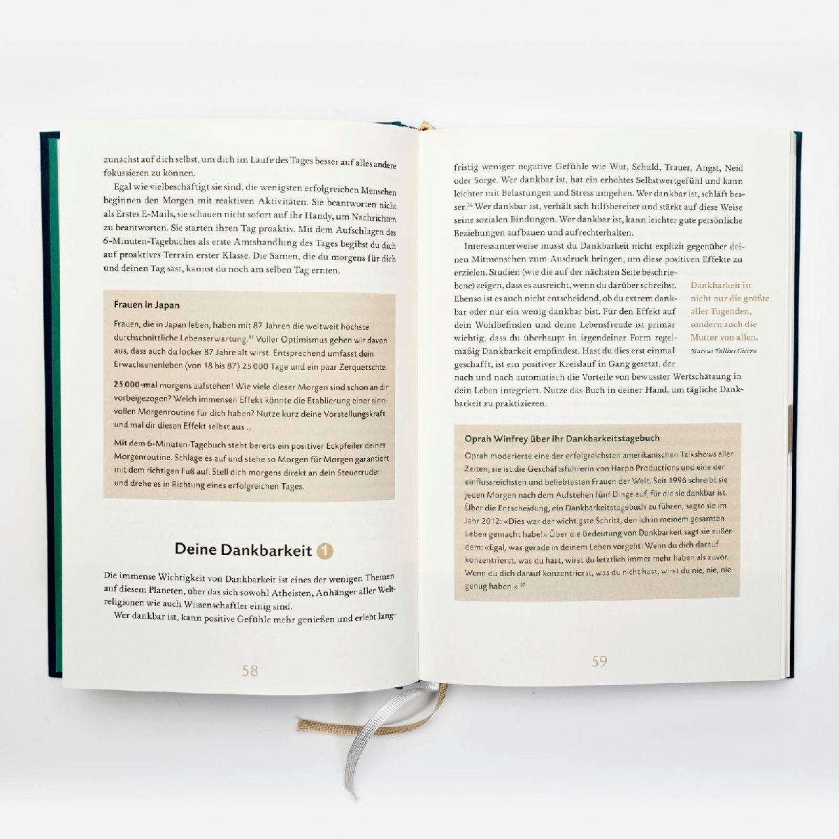 Produktbild: Das 6-Minuten-Tagebuch (lagune)