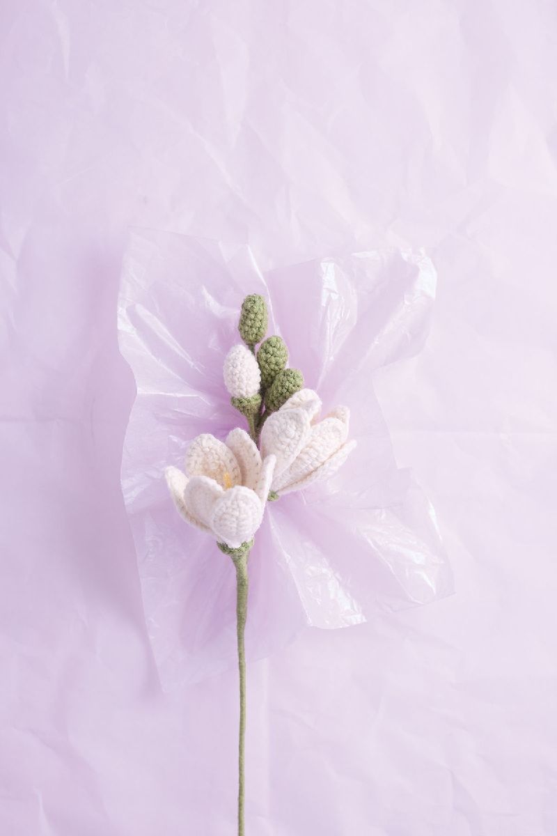 Produktbild: Romantische Blumen häkeln