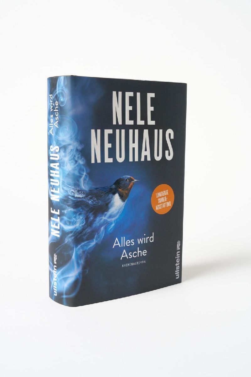 Produktbild: Alles wird Asche
