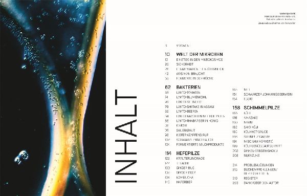 Produktbild: Fermentieren. Rezepte und Techniken für Geschmack, den man nicht kaufen kann