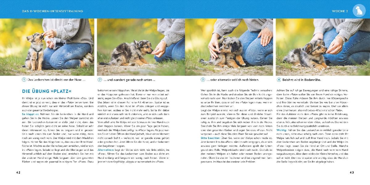 Produktbild: Welpen-Erziehung