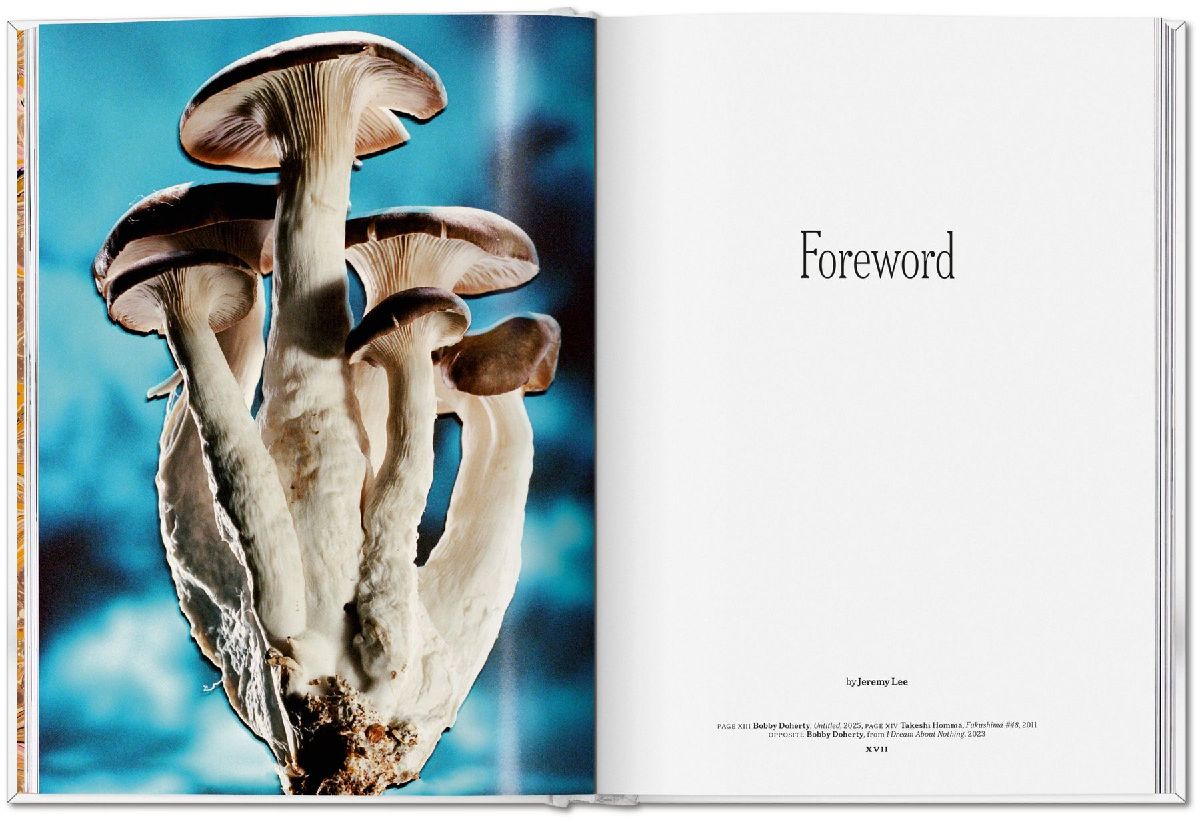 Produktbild: The Gourmand's Mushroom