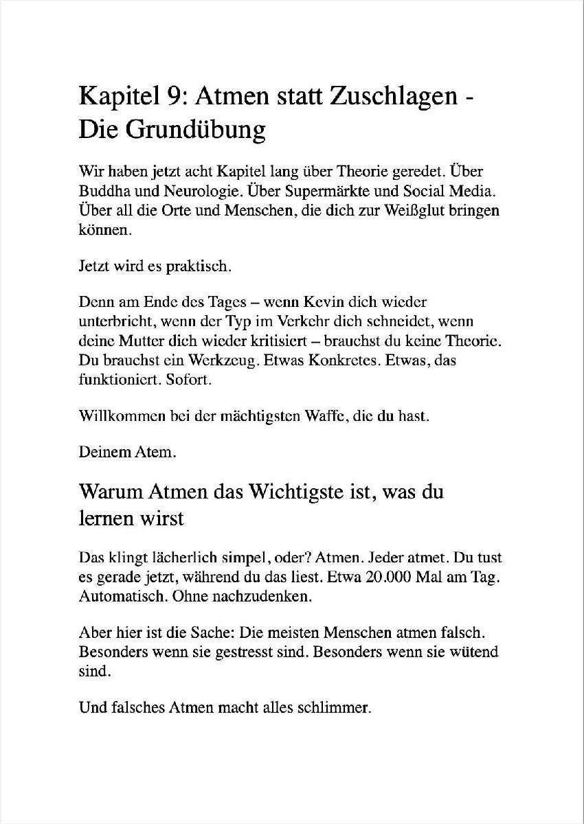 Produktbild: ZEN UND DIE KUNST, DEN LEUTEN NICHT AUF DIE SCHNAUZE ZU HAUEN