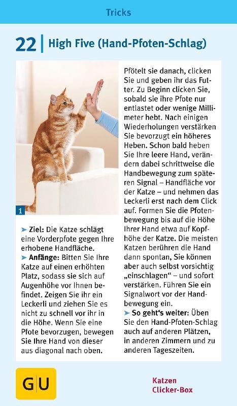 Produktbild: Katzen-Clicker-Box