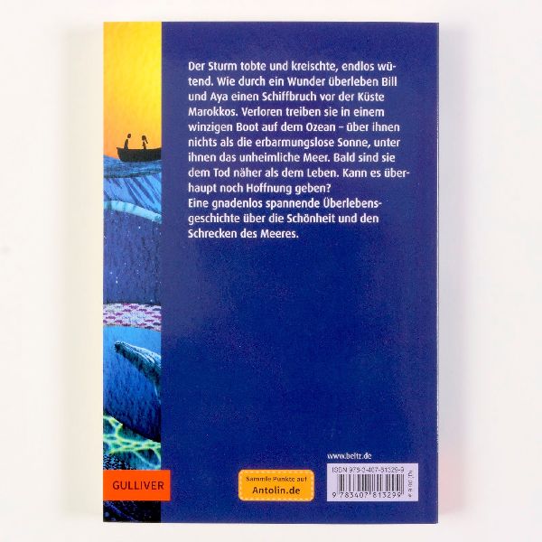 Produktbild: Allein auf dem Meer