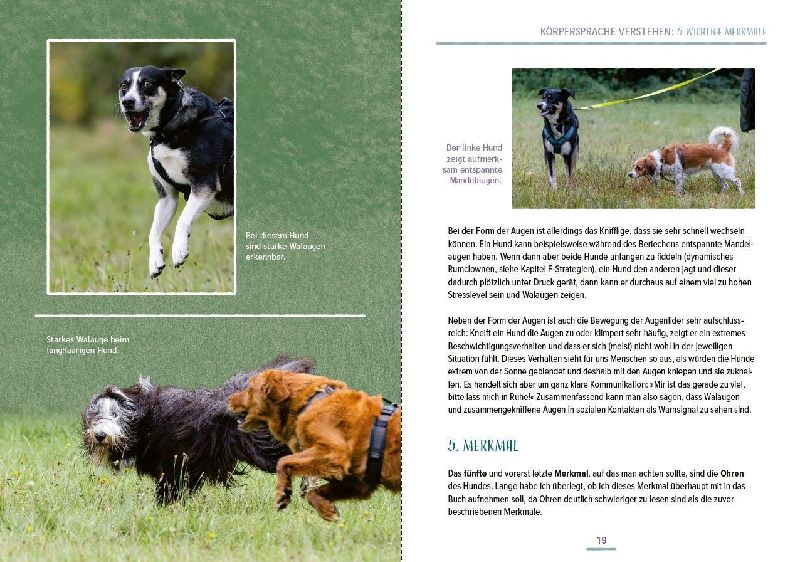 Produktbild: Das Hundesprachbuch
