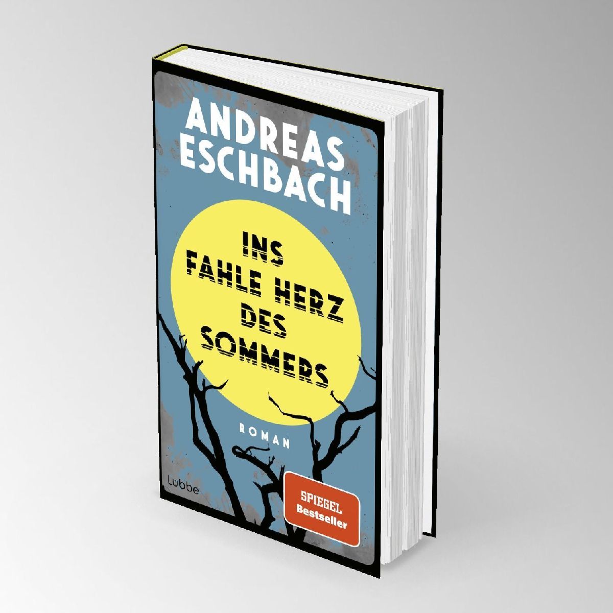 Produktbild: Ins fahle Herz des Sommers