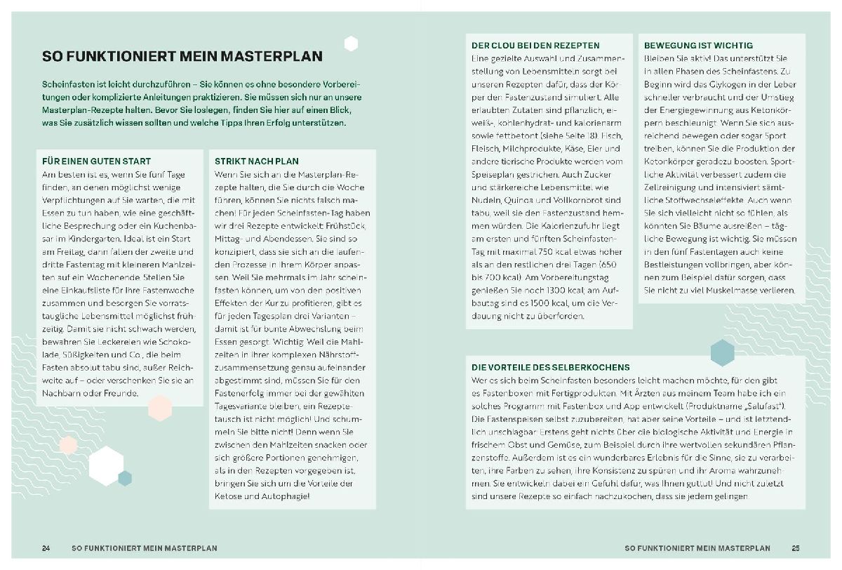 Produktbild: Scheinfasten - mein Masterplan
