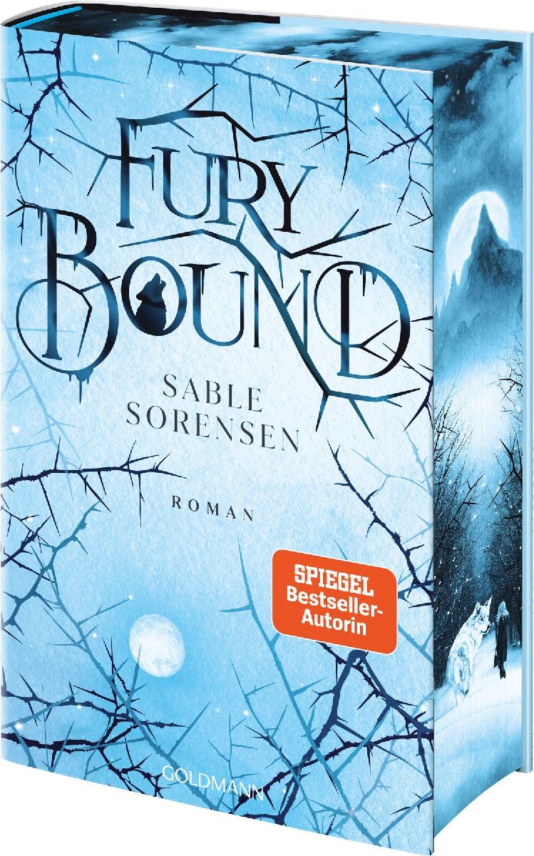 Produktbild: Fury Bound