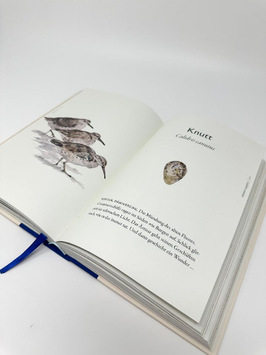Produktbild: Das Buch der Vögel