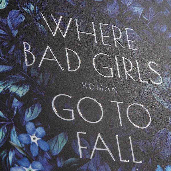 Produktbild: Where Bad Girls go to Fall (Good Girls 2)