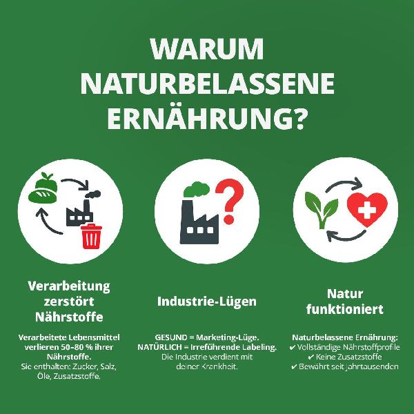 Produktbild: Die Krankheitslügen - Was man macht, um nicht krank zu werden.