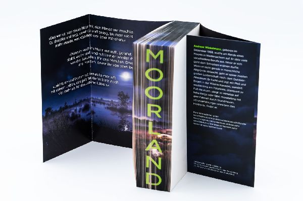 Produktbild: Moorland. Die Zwillinge