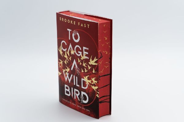 Produktbild: To Cage a Wild Bird