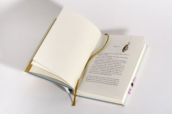 Produktbild: Das Jahr der Wunder