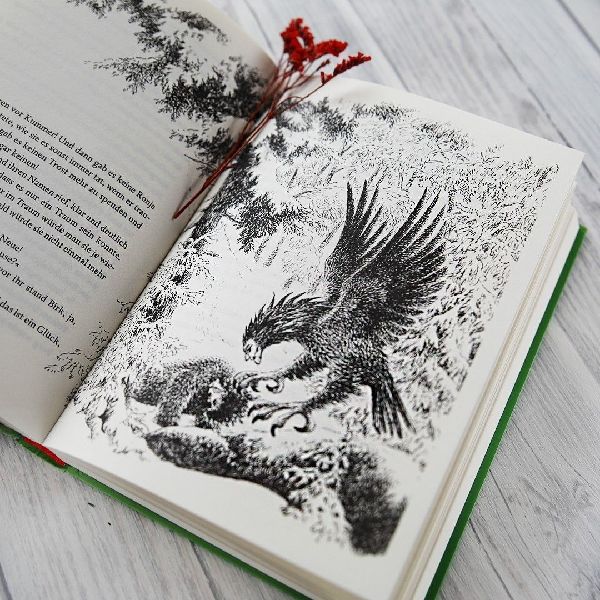 Produktbild: Ronja, Räubertochter