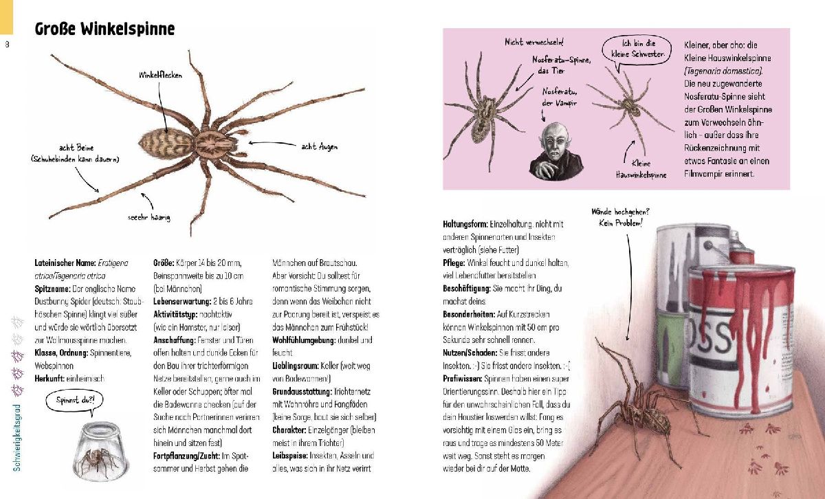 Produktbild: Hui, Spinne! Haustierchen halten für Anfänger