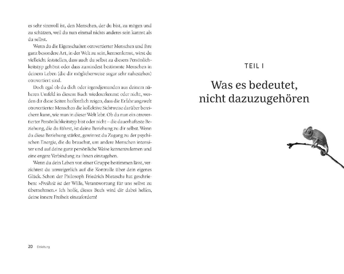 Produktbild: Wie schön es ist, nicht dazugehören zu müssen