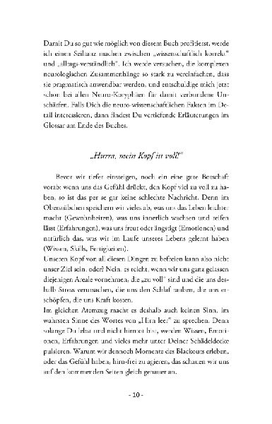 Produktbild: Kopf voll, Hirn leer