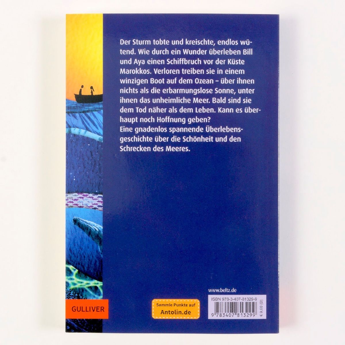 Produktbild: Allein auf dem Meer