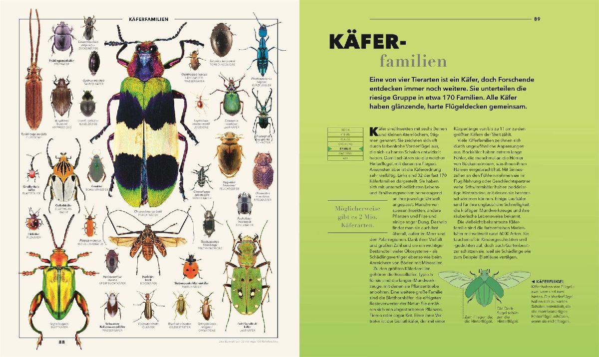 Produktbild: Universum des Wissens