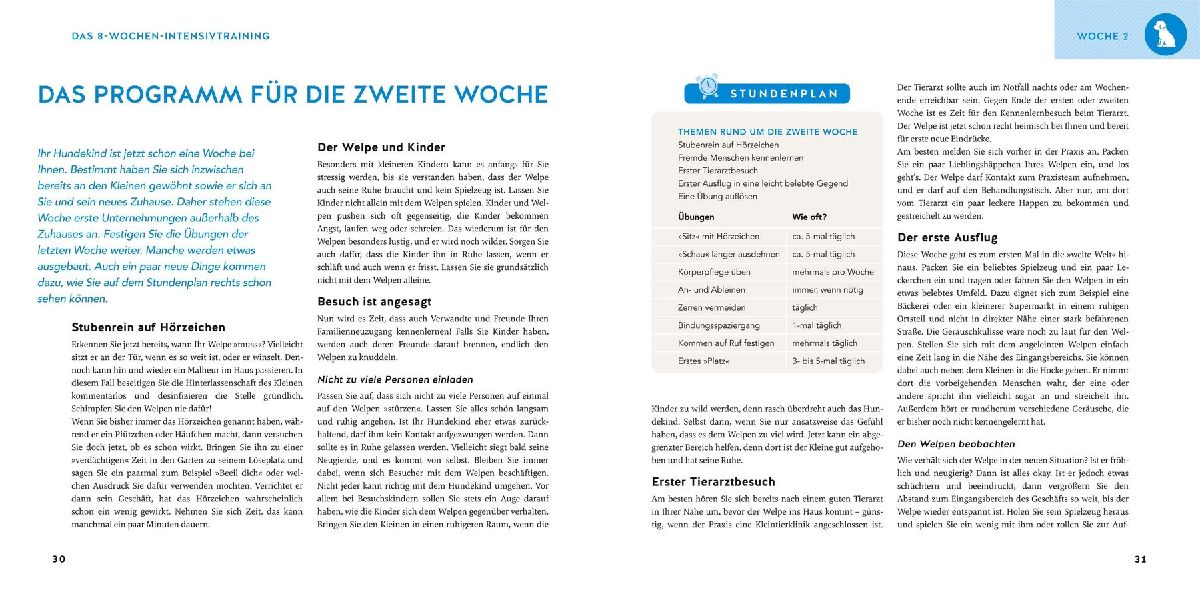 Produktbild: Welpen-Erziehung