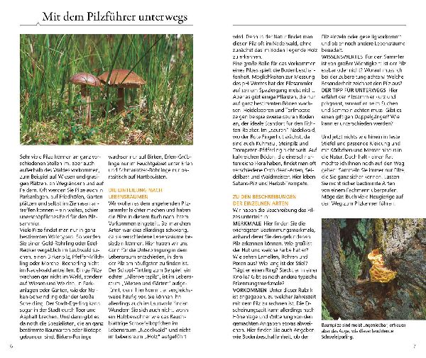 Produktbild: Kosmos Pilzführer für unterwegs