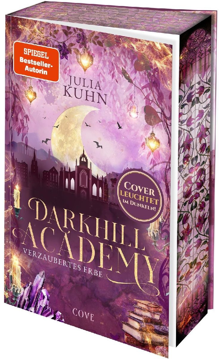 Produktbild: Darkhill Academy 2: Verzaubertes Erbe