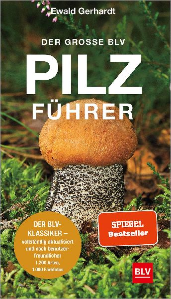 Produktbild: Der große BLV Pilzführer