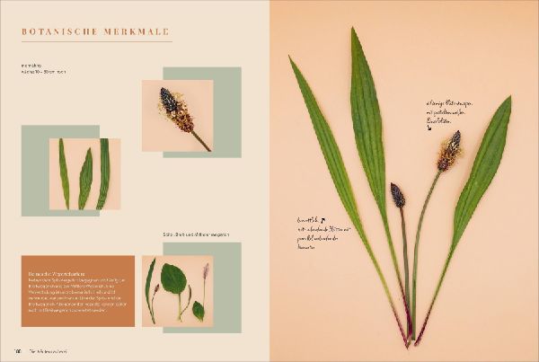 Produktbild: Die Kräutermacherei. Meine Naturapotheke.