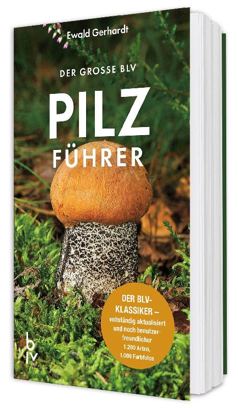 Produktbild: Der große BLV Pilzführer
