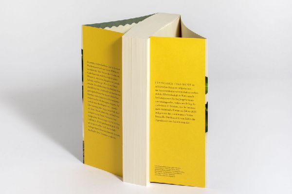 Produktbild: Die Briefträgerin