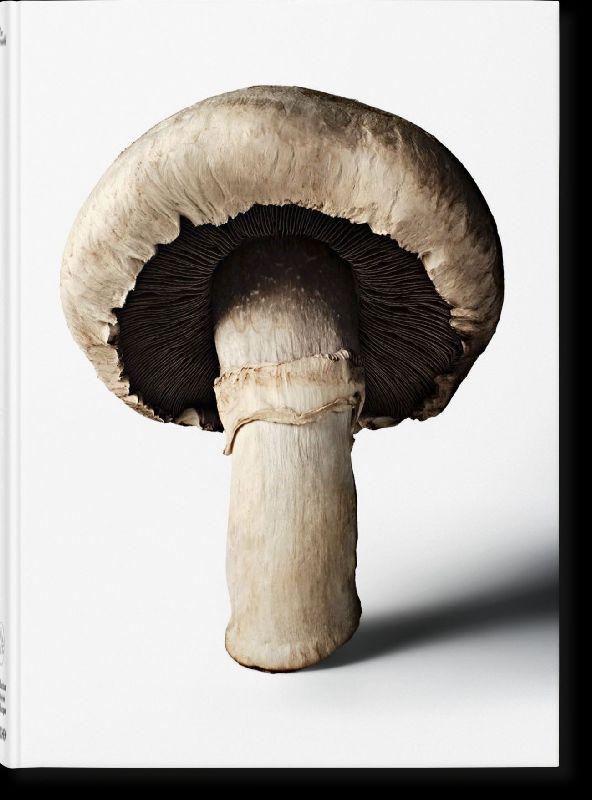 Produktbild: The Gourmand's Mushroom