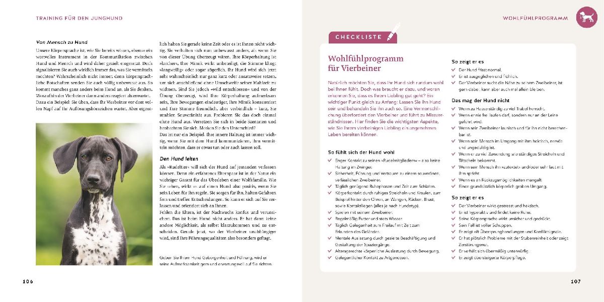 Produktbild: Welpen-Erziehung