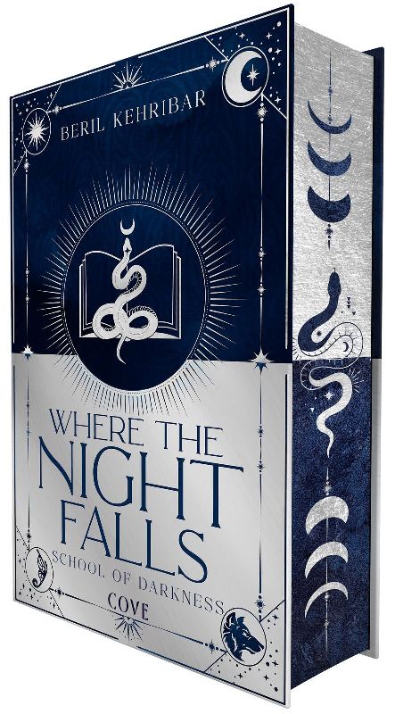 Produktbild: Where the Night Falls (School of Darkness 1)