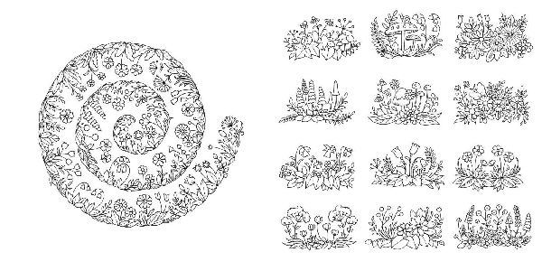 Produktbild: Wundervolle Wildblumen