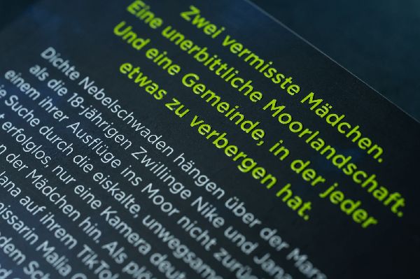 Produktbild: Moorland. Die Zwillinge