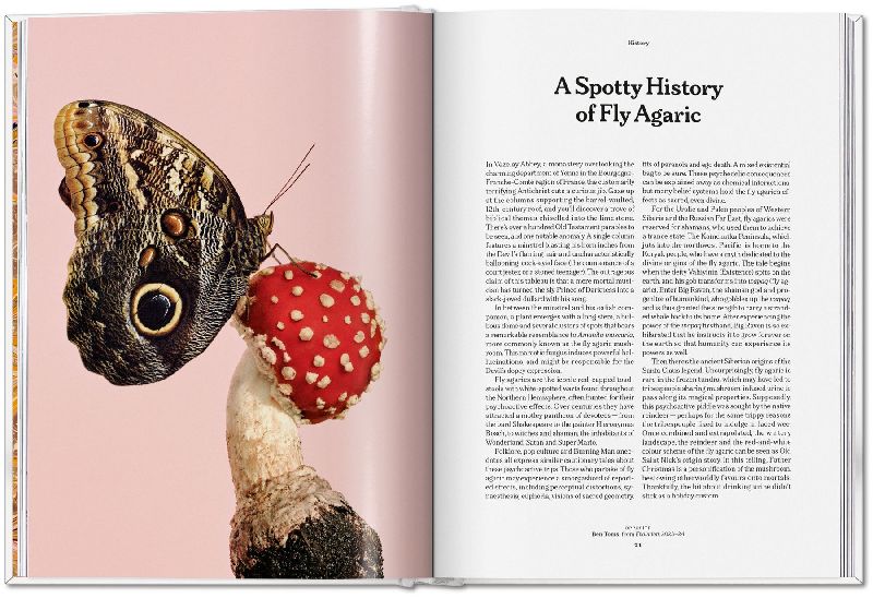Produktbild: The Gourmand's Mushroom