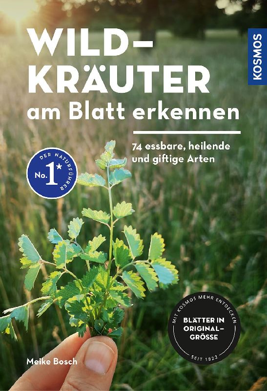 Produktbild: Wildkräuter am Blatt erkennen
