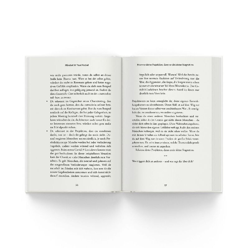 Produktbild: Meistere dein Mindset