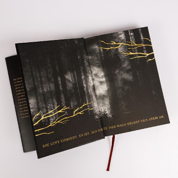 Produktbild: The Wolf King (Wolf King 1)