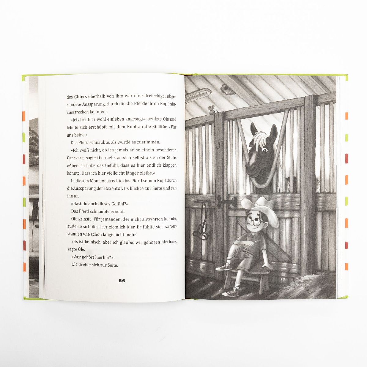 Produktbild: Wonder und ich. Eine Freundschaftsgeschichte (Band 1)