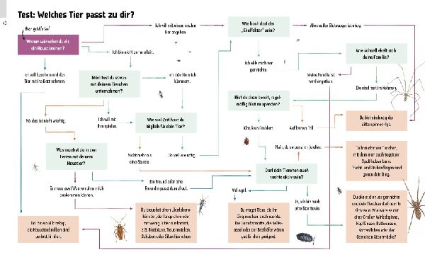 Produktbild: Hui, Spinne! Haustierchen halten für Anfänger