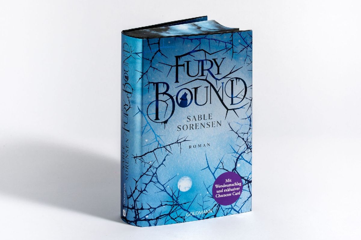 Produktbild: Fury Bound